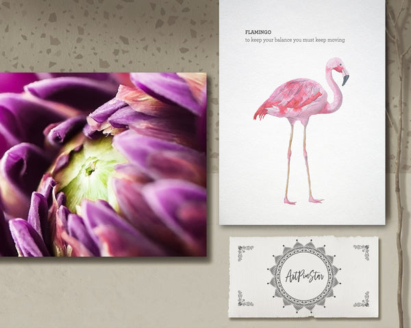 Chrysanthemum Flower Photo Art Customized Gift Cards