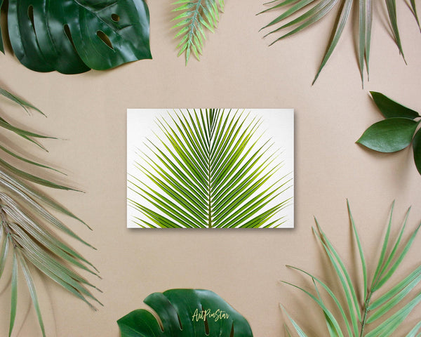 The Coconut Palm Leaves Botanical Garden Customized Greeting Card