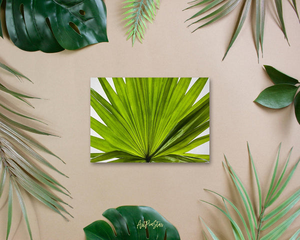 Green Palm Leaf Botanical Garden Customized Greeting Card