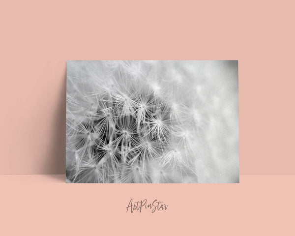 Dandelion Flower Photo Art Customized Gift Cards