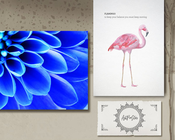 Chrysanthemum Flower Photo Art Customized Gift Cards