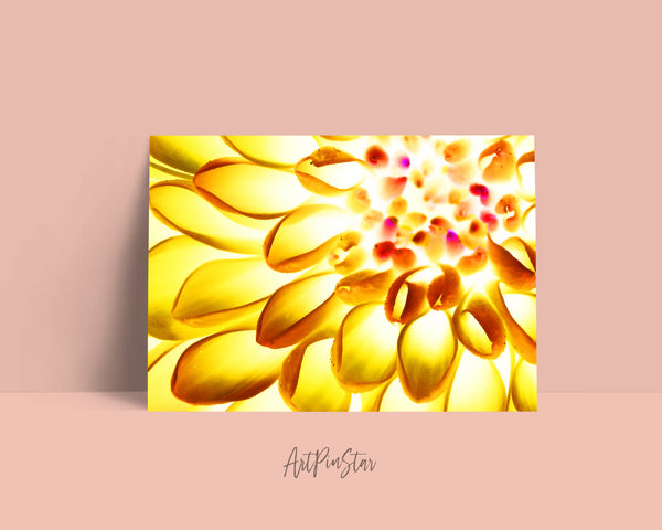 Chrysanthemum Flower Photo Art Customized Gift Cards