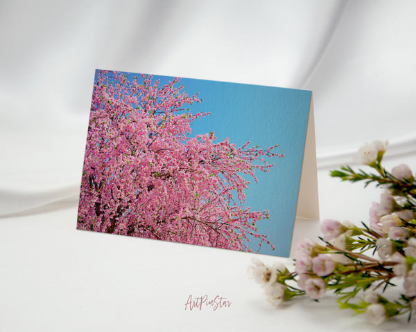 Cherry Blossom, Japan Landscape Custom Greeting Cards