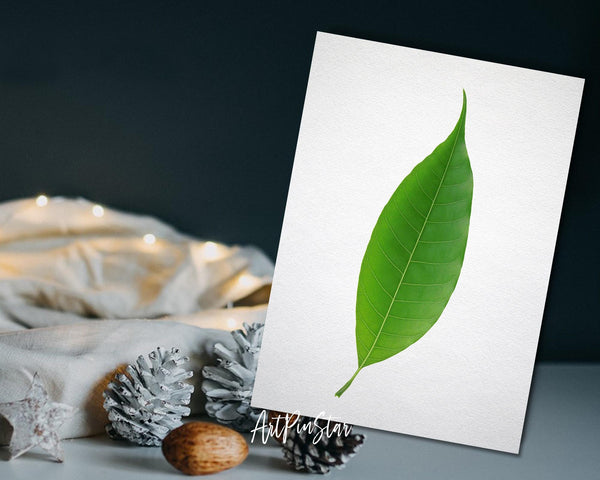 Green Leaf Botanical Garden Customized Greeting Card