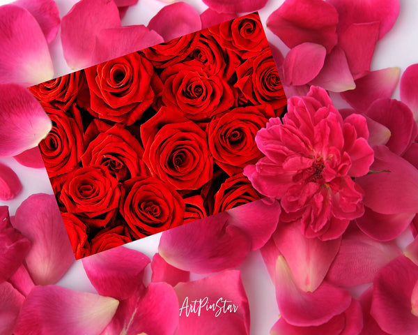 Roses Flower Photo Art Customized Gift Cards
