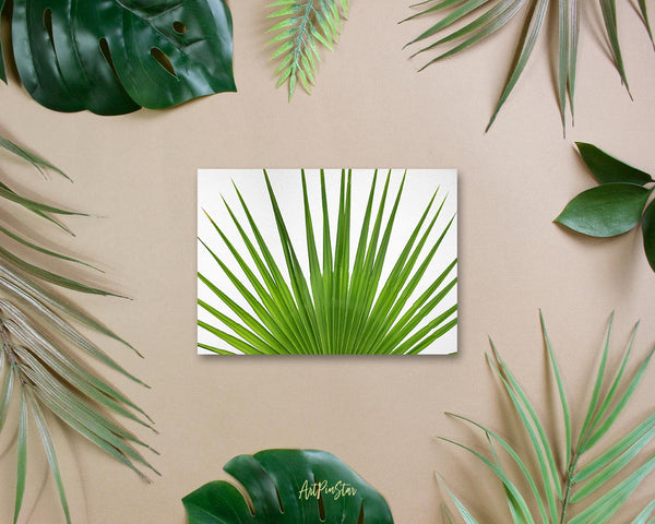 Palm Leaf Botanical Garden Customized Greeting Card