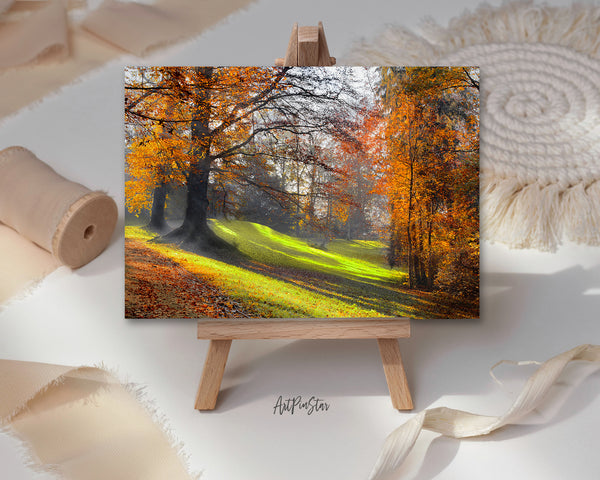 Autumn Park Path Landscape Pattern Greeting Cards