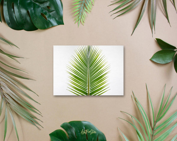 The Coconut Palm Leaves Botanical Garden Customized Greeting Card