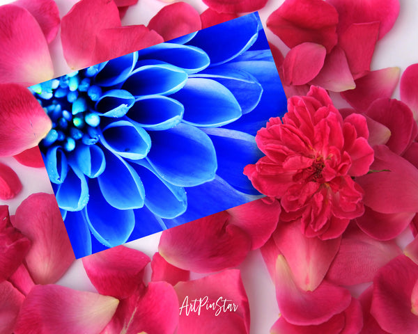 Chrysanthemum Flower Photo Art Customized Gift Cards