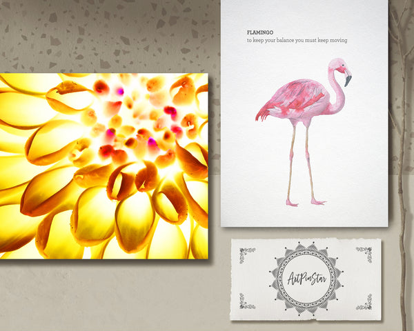 Chrysanthemum Flower Photo Art Customized Gift Cards