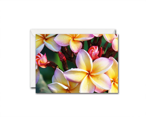Plumeria Flower Photo Art Customized Gift Cards