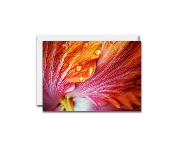 Hibiscus Flower Photo Art Customized Gift Cards