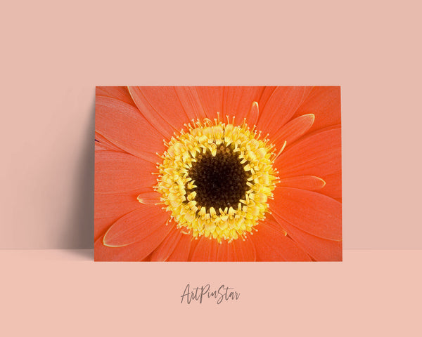 Gerbera Daisy Flower Photo Art Customized Gift Cards