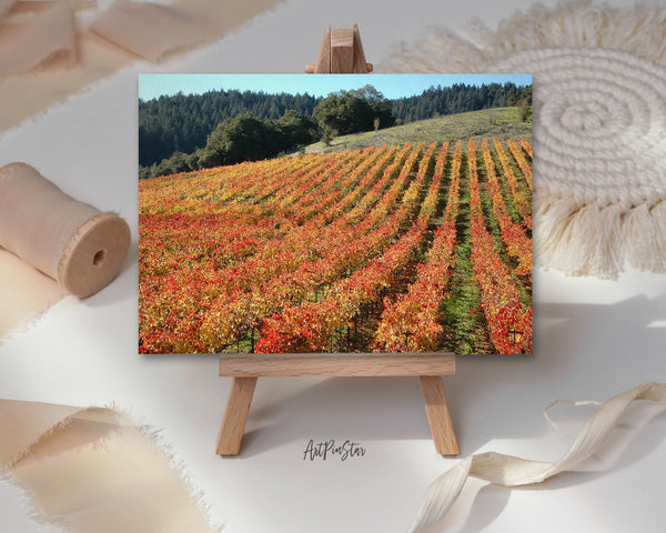 Sebastopol Wineries and Vineyards of Sonoma Wine, California Landscape Custom Greeting Cards
