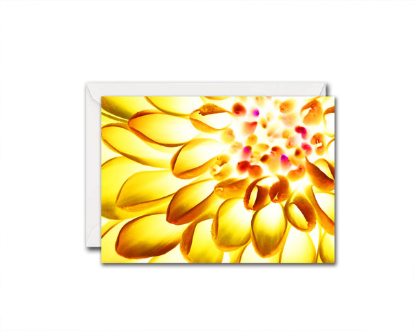 Chrysanthemum Flower Photo Art Customized Gift Cards