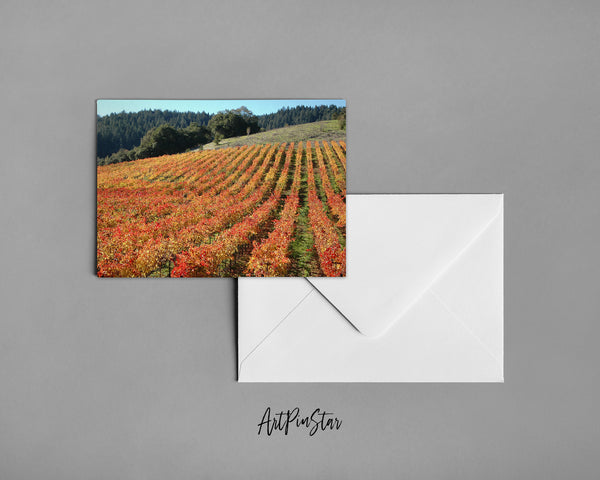 Sebastopol Wineries and Vineyards of Sonoma Wine, California Landscape Custom Greeting Cards