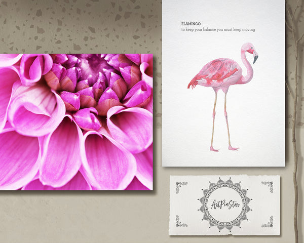 Chrysanthemum Flower Photo Art Customized Gift Cards