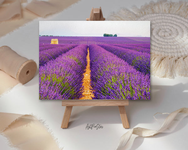 Lavender Fields Landscape Custom Greeting Cards