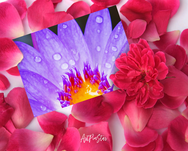 Lotus Flower Photo Art Customized Gift Cards