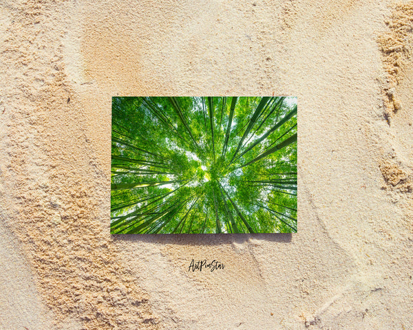 Forest Bamboo Landscape Custom Greeting Cards