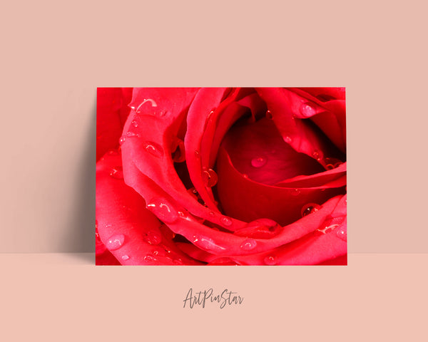 Rose Flower Photo Art Customized Gift Cards