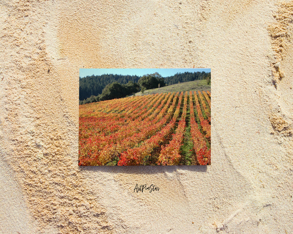 Sebastopol Wineries and Vineyards of Sonoma Wine, California Landscape Custom Greeting Cards