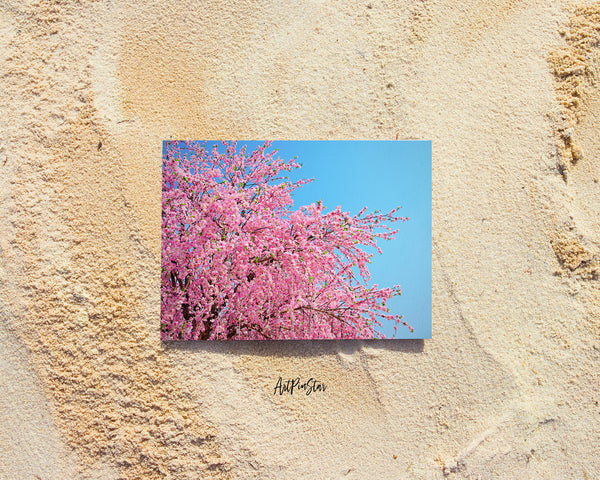 Cherry Blossom, Japan Landscape Custom Greeting Cards