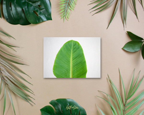 Banana leaf Botanical Garden Customized Greeting Card