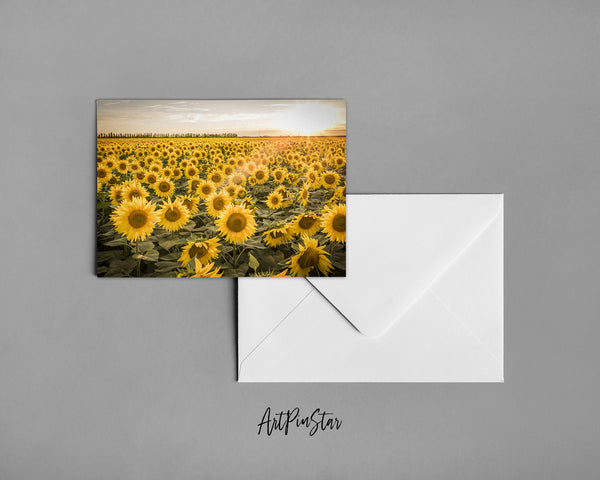 Field of Sunflowers Sunlight Landscape Custom Greeting Cards
