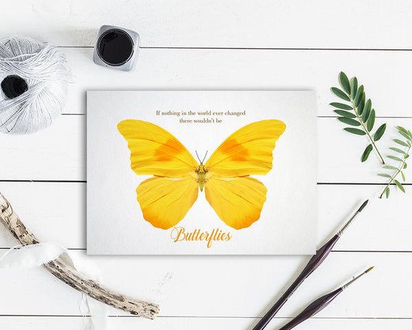 If nothing in the world ever changed there wouldn’t be butterflies Bird Animal Greeting Cards