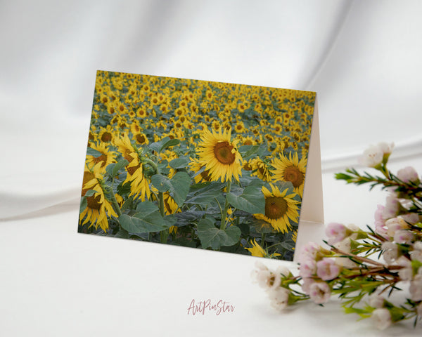 Blooming Helianthus Sunflower Spring Field Landscape Custom Greeting Cards