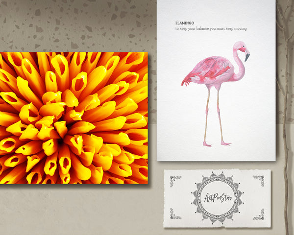 Chrysanthemum Flower Photo Art Customized Gift Cards