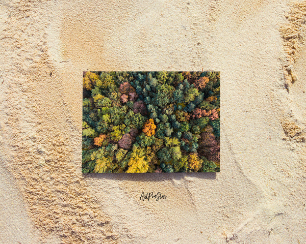 Autumn Forest Landscape Pattern Greeting Cards