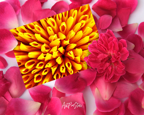 Chrysanthemum Flower Photo Art Customized Gift Cards