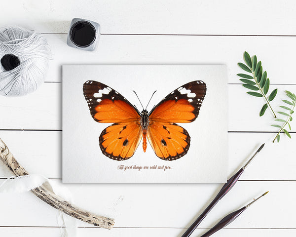 All good things are wild and free Butterfly Animal Greeting Cards