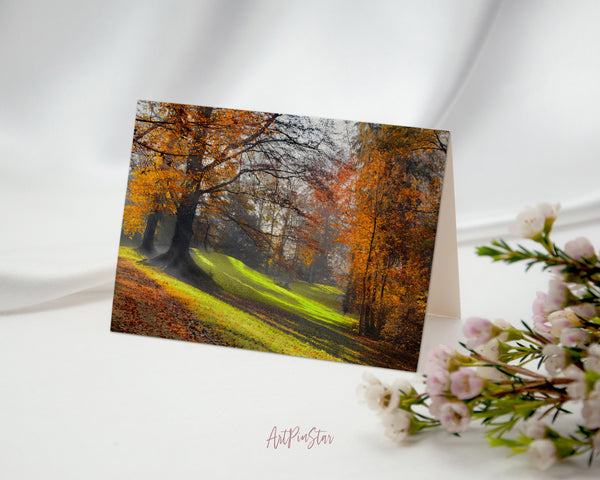 Autumn Park Path Landscape Pattern Greeting Cards