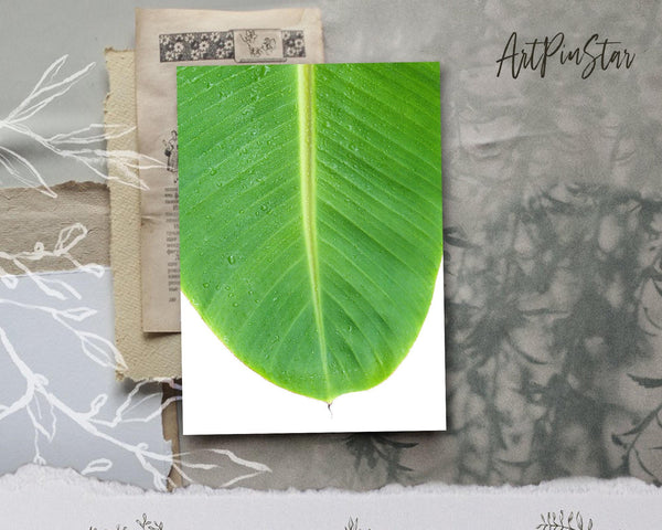 Banana leaf Botanical Garden Customized Greeting Card