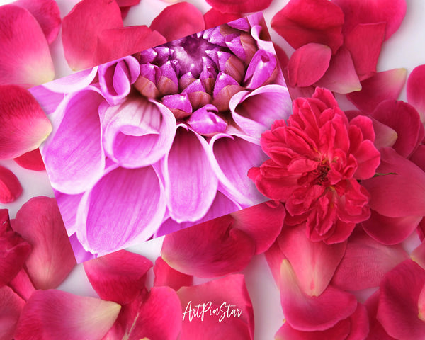 Chrysanthemum Flower Photo Art Customized Gift Cards