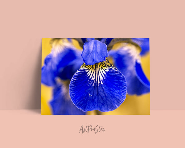 Iris Flower Photo Art Customized Gift Cards