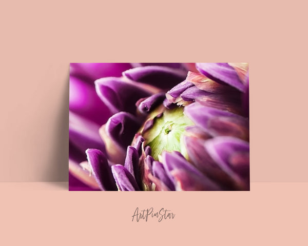 Chrysanthemum Flower Photo Art Customized Gift Cards