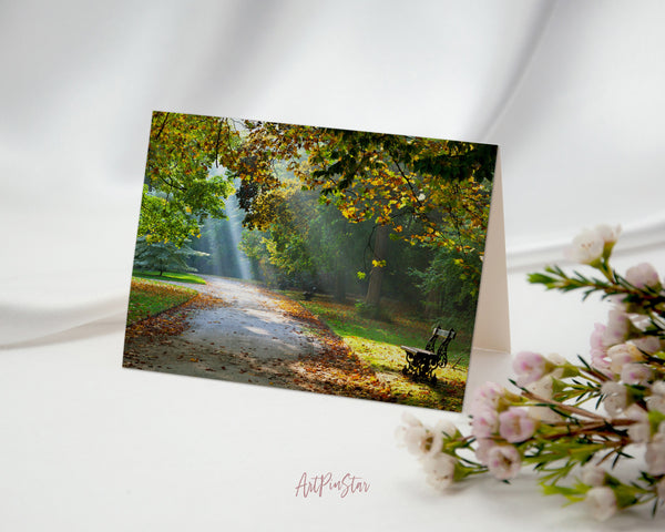 Autumn Park Path Sunlight Landscape Custom Greeting Cards