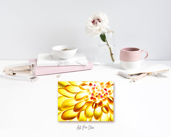 Chrysanthemum Flower Photo Art Customized Gift Cards