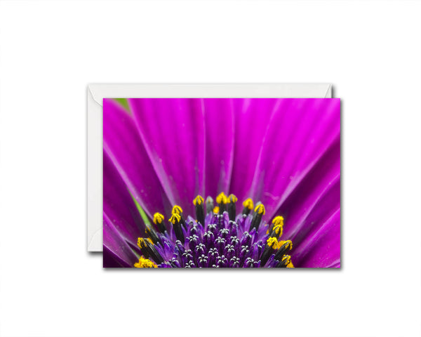 Gazania Flower Photo Art Customized Gift Cards