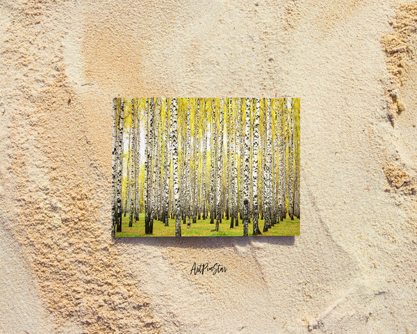 Birch Grove Trees Autumn Landscape Pattern Greeting Cards