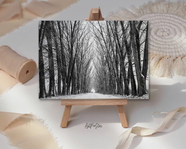 Tree in Winter Silhouettes Landscape Custom Greeting Cards
