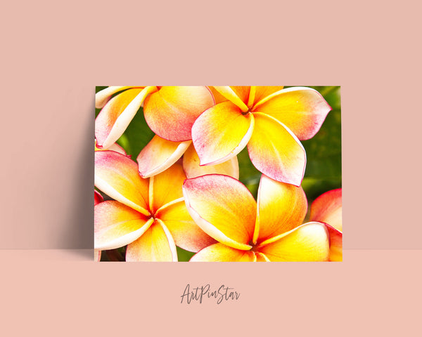 Plumeria Flower Photo Art Customized Gift Cards