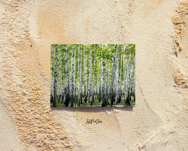 Birch Grove Trees Summer Landscape Custom Greeting Cards