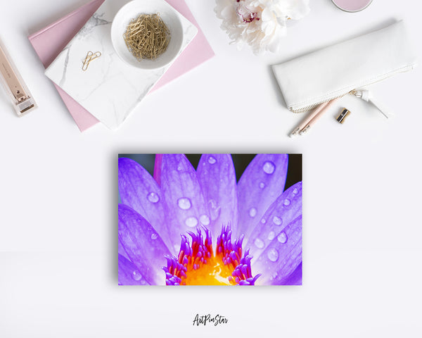 Lotus Flower Photo Art Customized Gift Cards