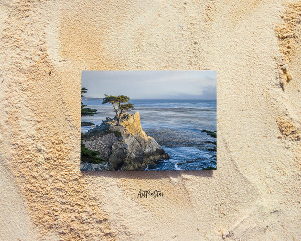 Monterey Lone Cypress Tree, California Landscape Custom Greeting Cards