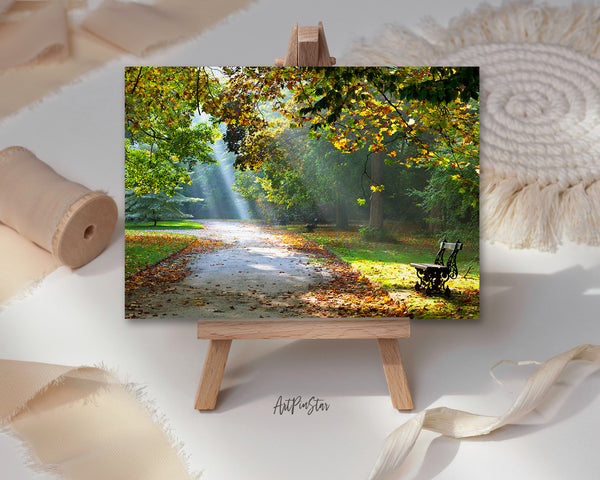 Autumn Park Path Sunlight Landscape Custom Greeting Cards